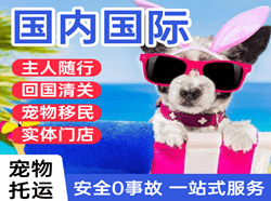 伊春航空空运国际宠物托运 【国